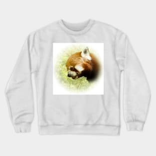 Red panda Crewneck Sweatshirt